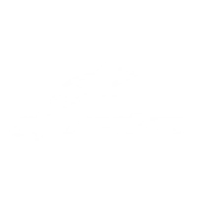 ALPINESTARS